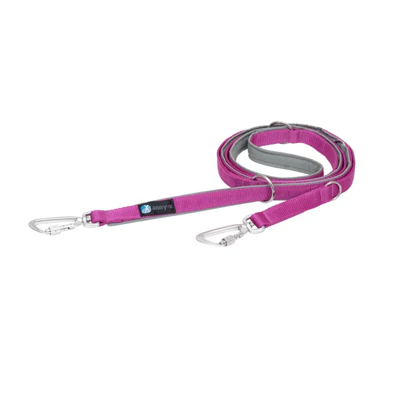 Führleine Safety Fun - Grau / Pink 